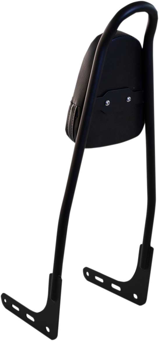 One-Piece Sissy Bar - Black - With Pad 2018 - 2023
