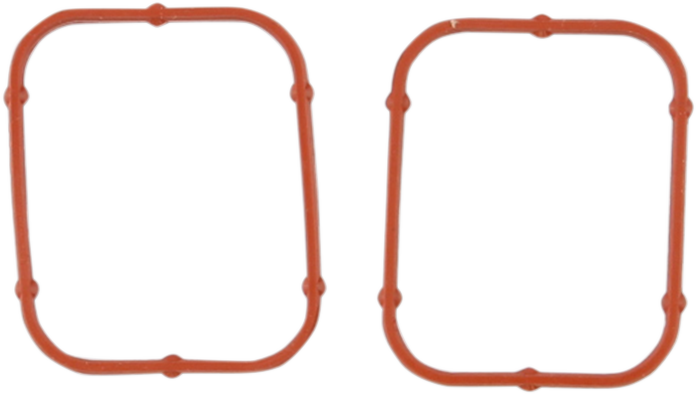 Inner Rocker Gasket 2007 - 2020