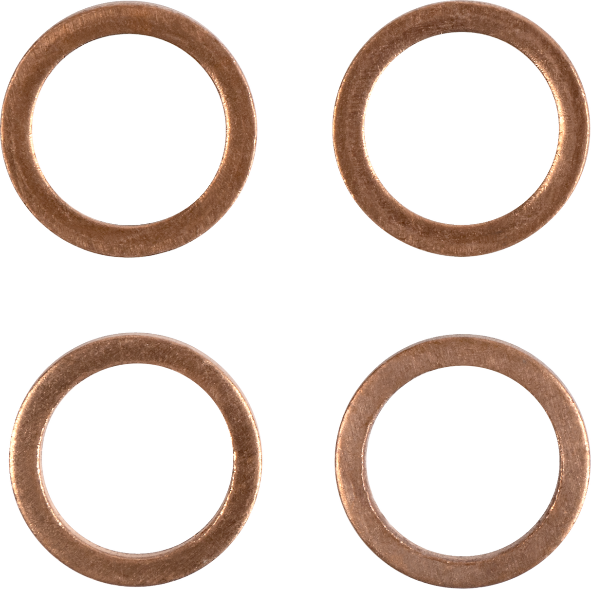 Brake Line - Stainless Steel 2021 - 2022