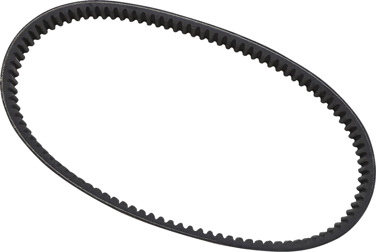 Drive Belt 1994 - 2015