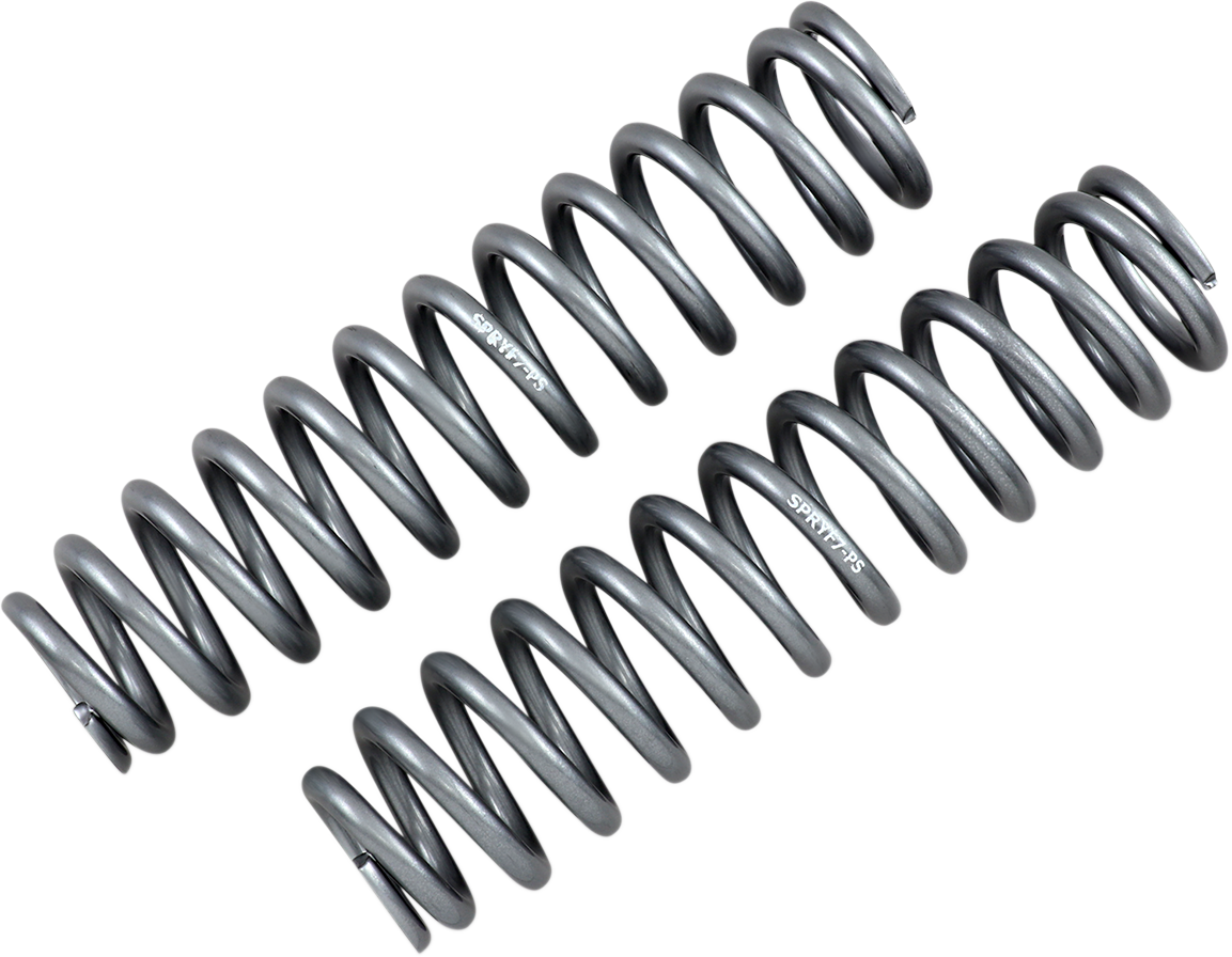 Front Shock Springs - Silver 2009 - 2020