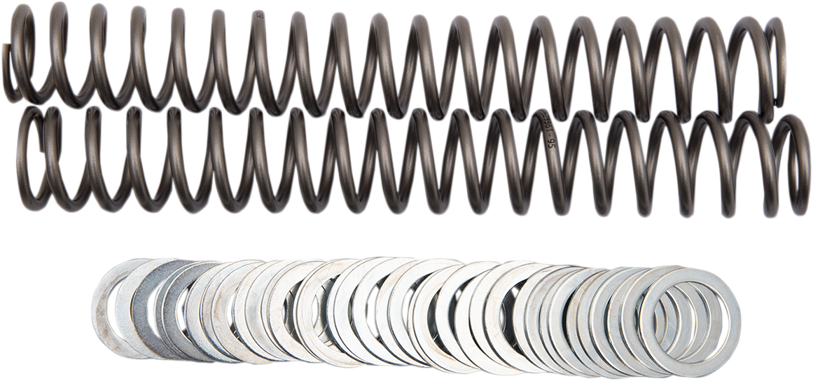 Fork Springs - 0.95 kg/mm 2009 - 2023