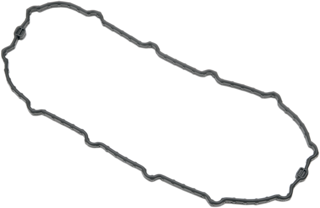 Fuel Pump Door Seal - Dyna 2004 - 2010