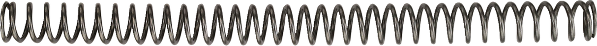 Fork Springs - 29.5 mm - 2.4 n/mm 2009 - 2021