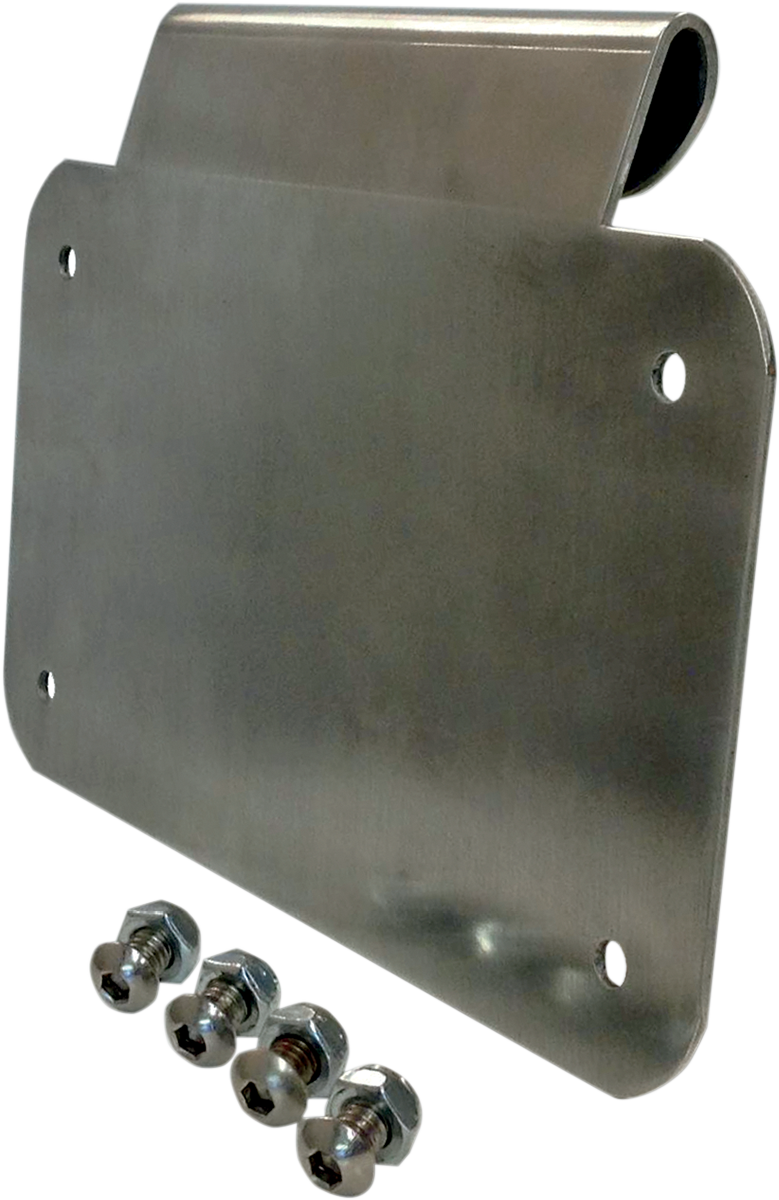License Plate Mount - Burnished Aluminum 1999 - 2020