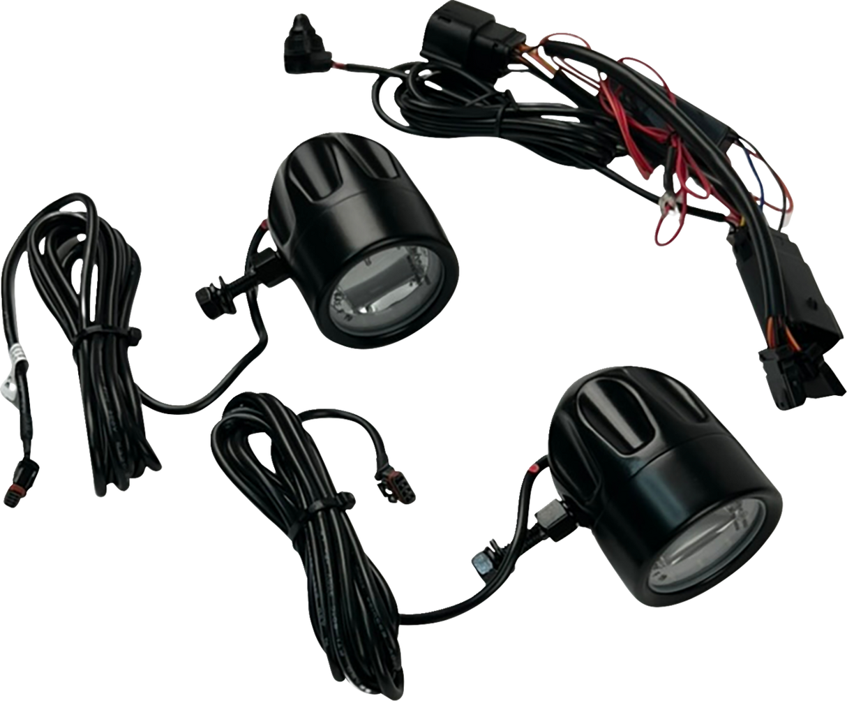 LED Fog Light - Halo - Black 2023 - 2025