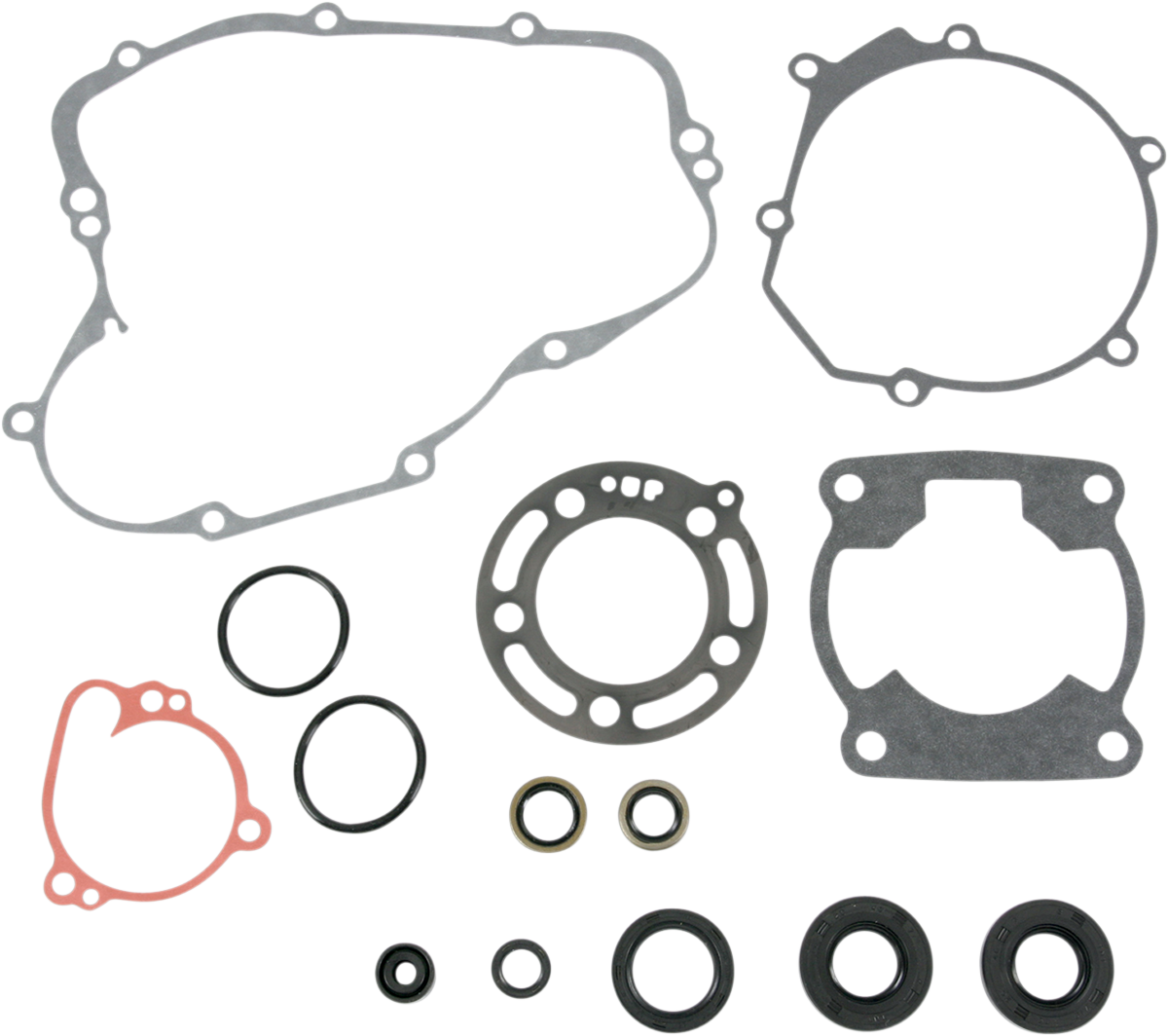 Motor Gasket Kit with Oil Seal - Kawasaki 1995 - 1997