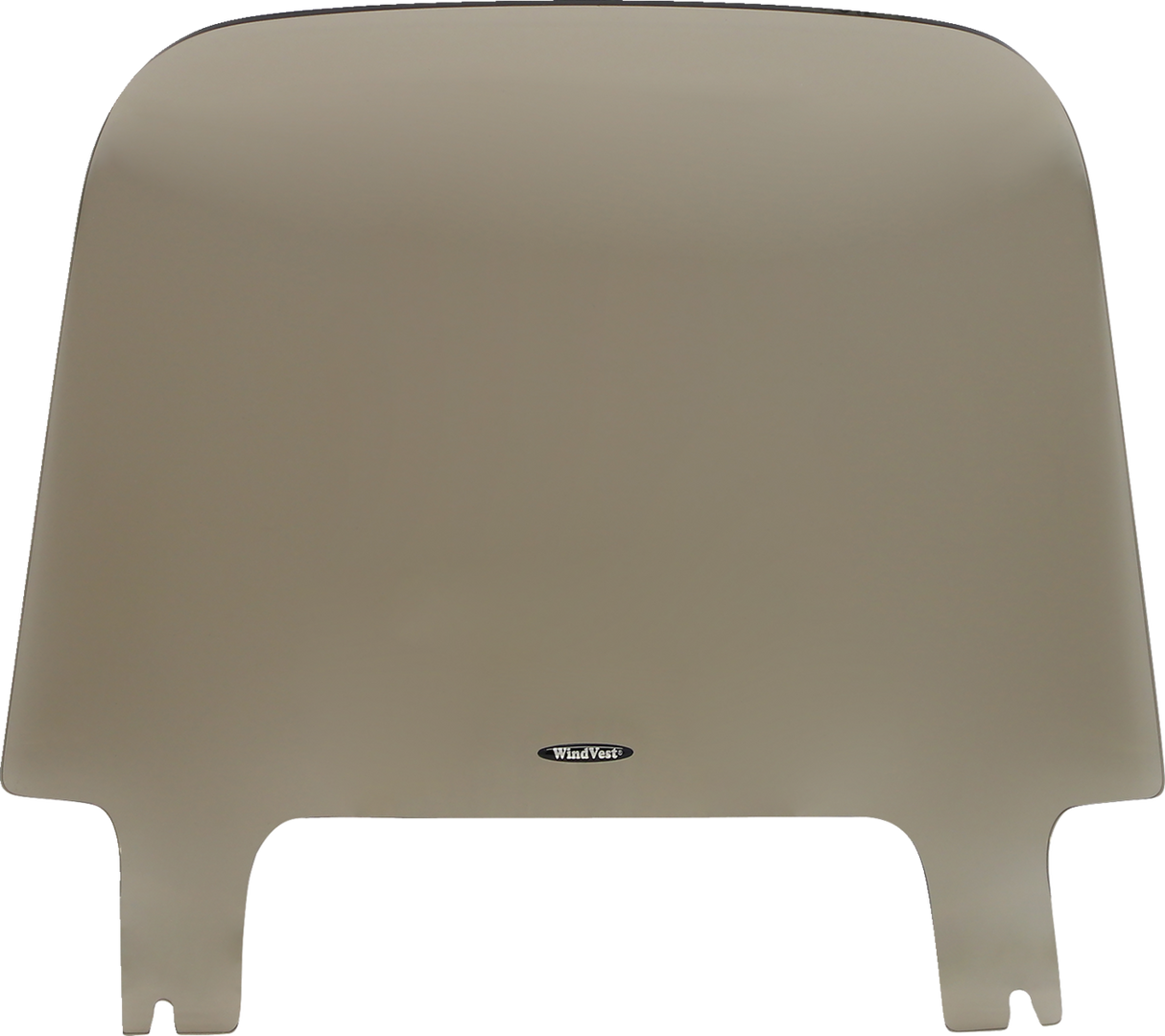 Windshield - 10\" - Light Smoke - FLSB 2018 - 2020