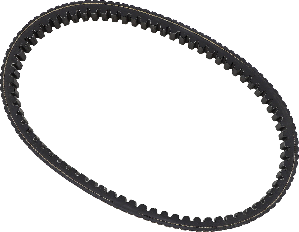 Drive Belt 2004 - 2014