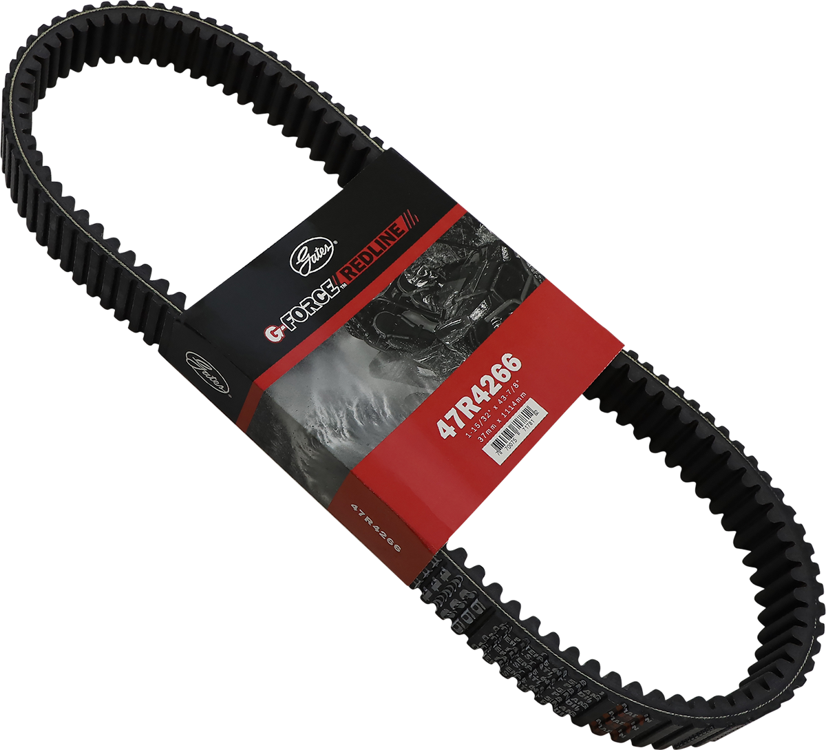 Drive Belt 2016 - 2023