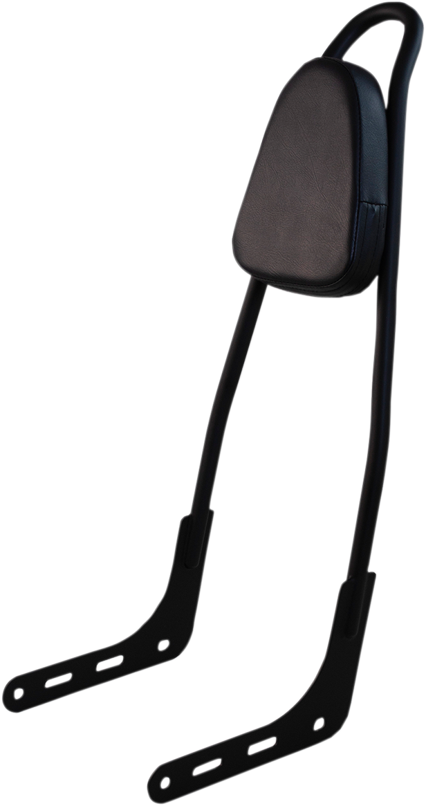 One-Piece Sissy Bar - Black - With Pad 2018 - 2023