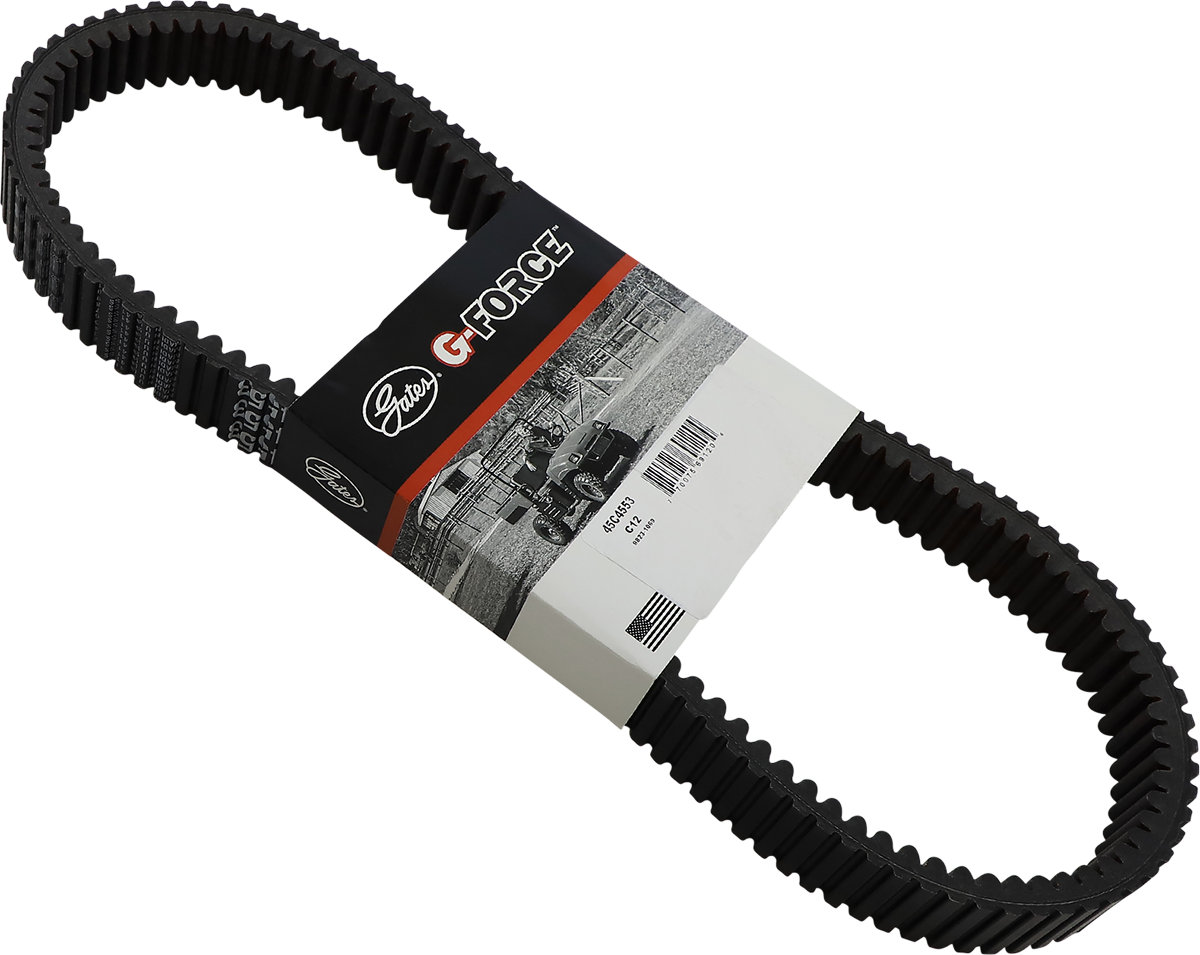 Drive Belt 2016 - 2023