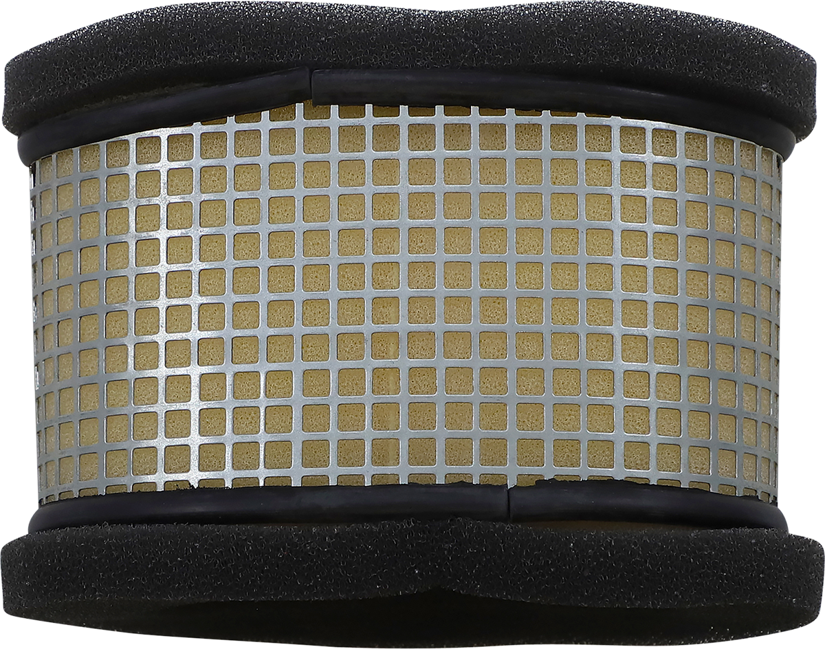 Air Filter - Polaris 1995 - 2003