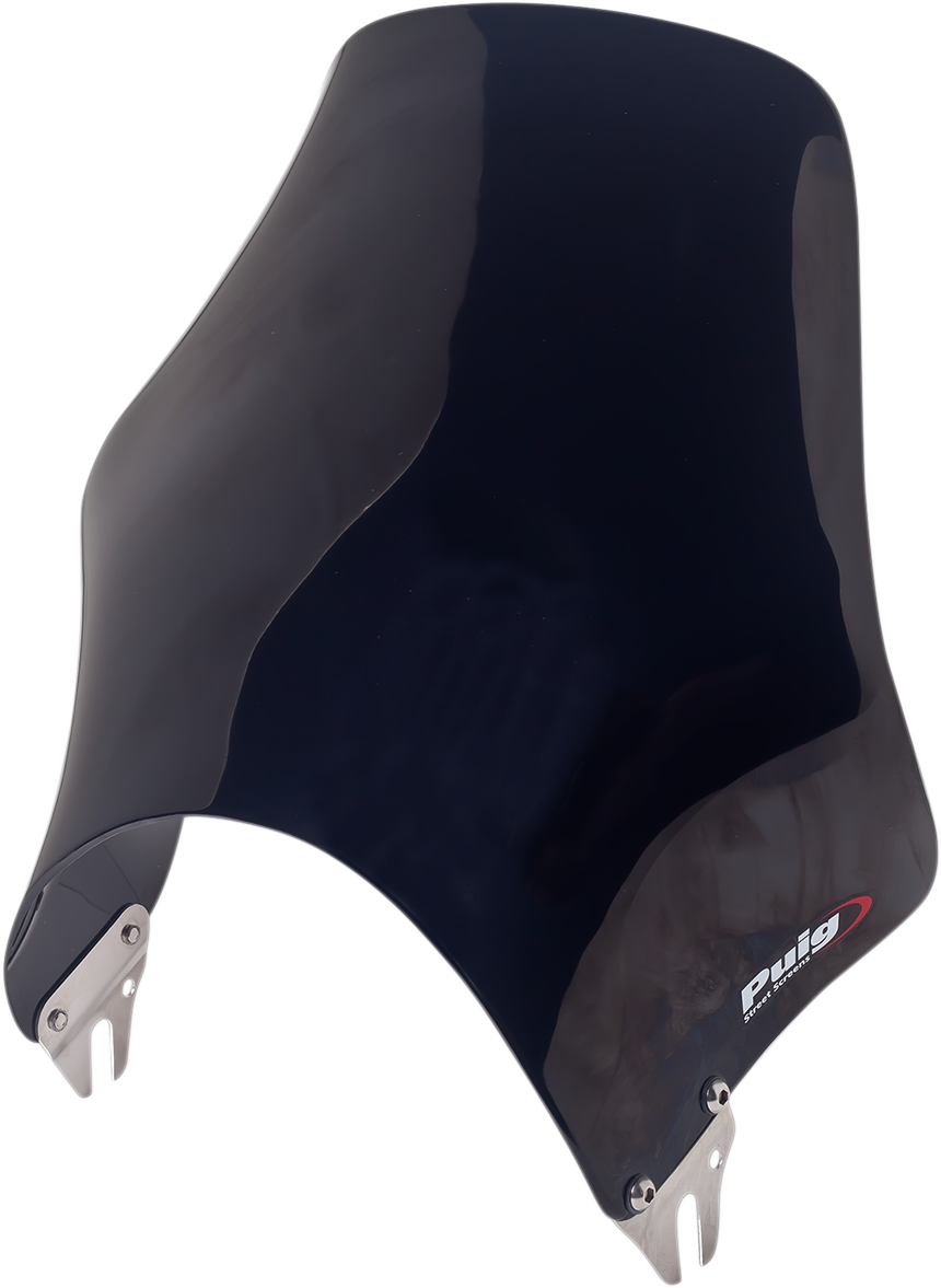 Naked Windshield - Black 1993 - 2014