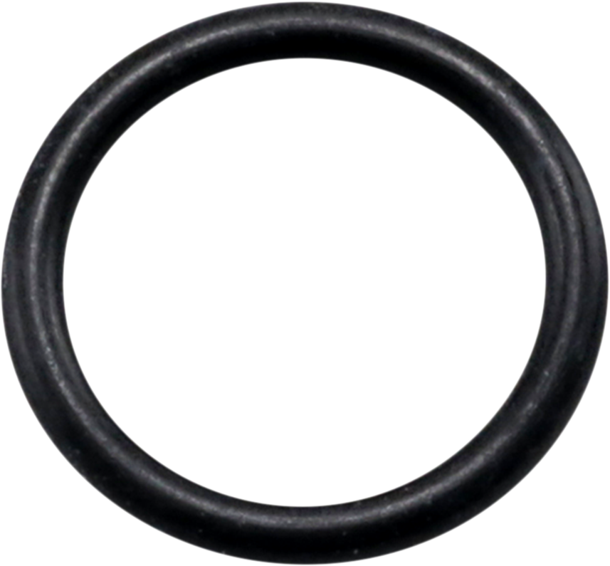 Drain Plug O-Ring 2015 - 2020