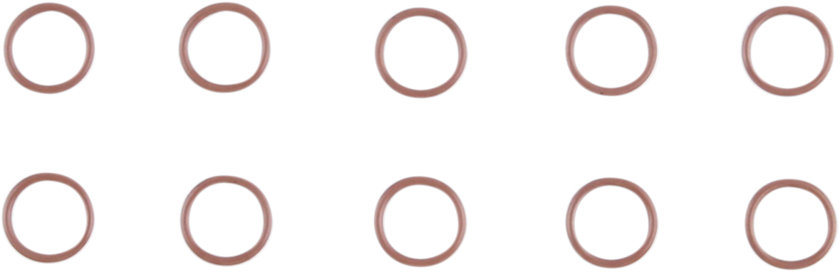 O-Ring - 10 Pack 2017 - 2024
