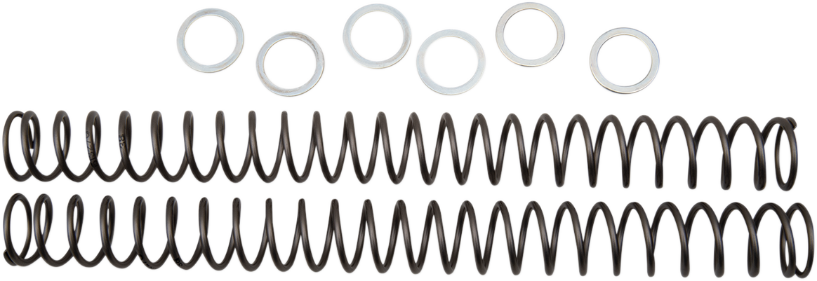 Fork Springs - 0.38 kg/mm 2019 - 2019