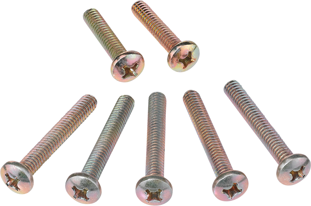 Clutch Cover Screw - Polaris 1989 - 1996