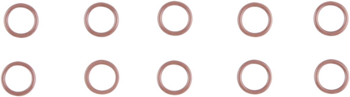 O-Ring - 10 Pack 2017 - 2024