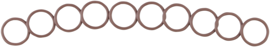 Cam Sensor O-Ring 1999 - 2001