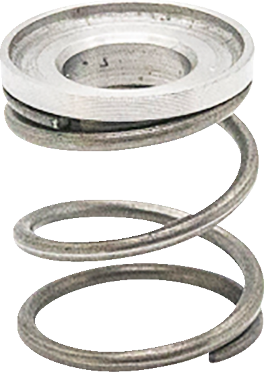 Adjuster Spring - High Speed - Short 2009 - 2022