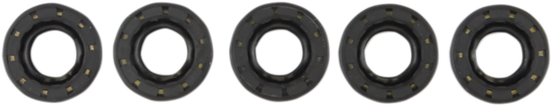 Shifter Shaft Seal 1980 - 2008