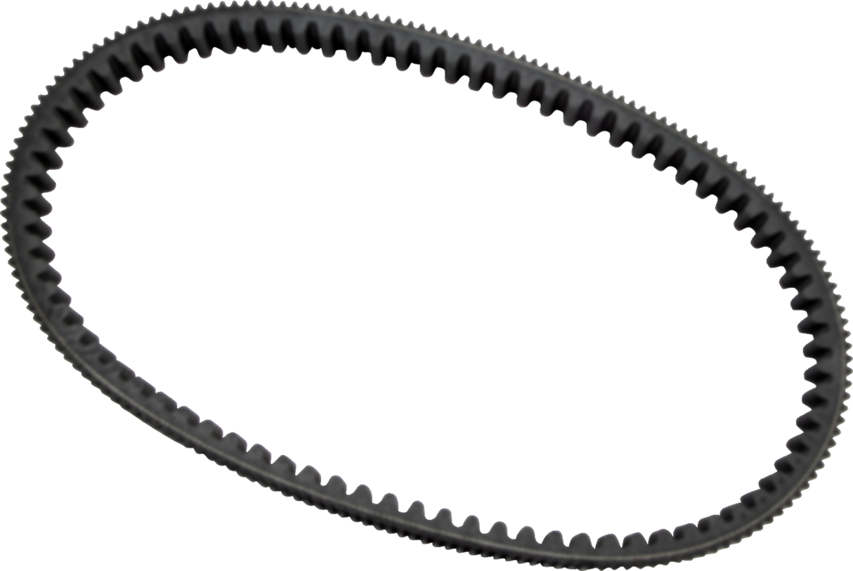 Drive Belt 2002 - 2022