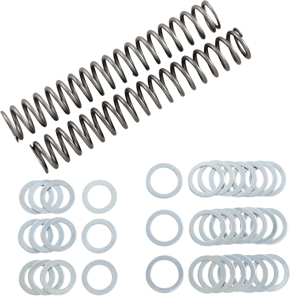 Fork Springs - 1.10 kg/mm 1998 - 2015