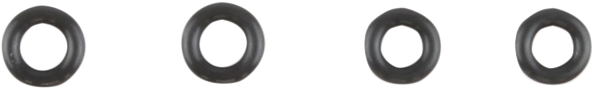 Induction Module O-Ring Kit - M8 2017 - 2024