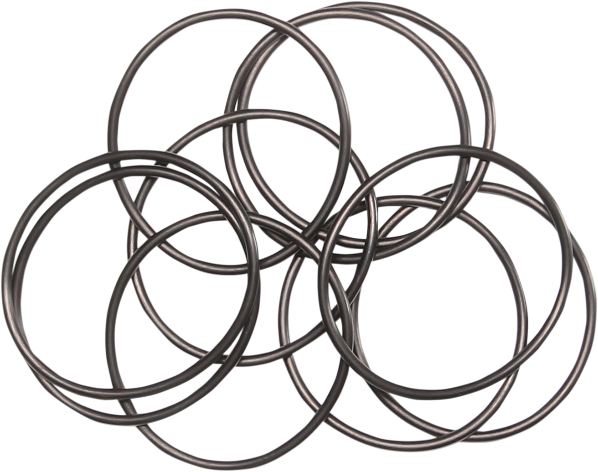 Outer Oil Pump O-Ring 1999 - 2006