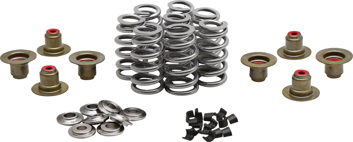 Beehive Spring Kit - 0.640\" Lift - M8 | CVO 2017 - 2024