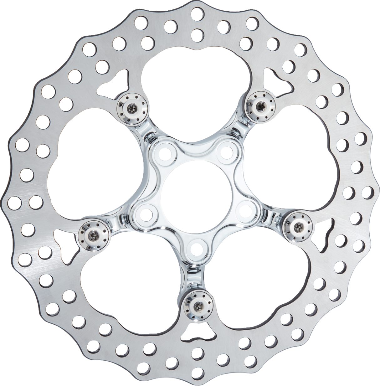 Spider Rotor - 11.8\" - Chrome - Rear 2008 - 2024