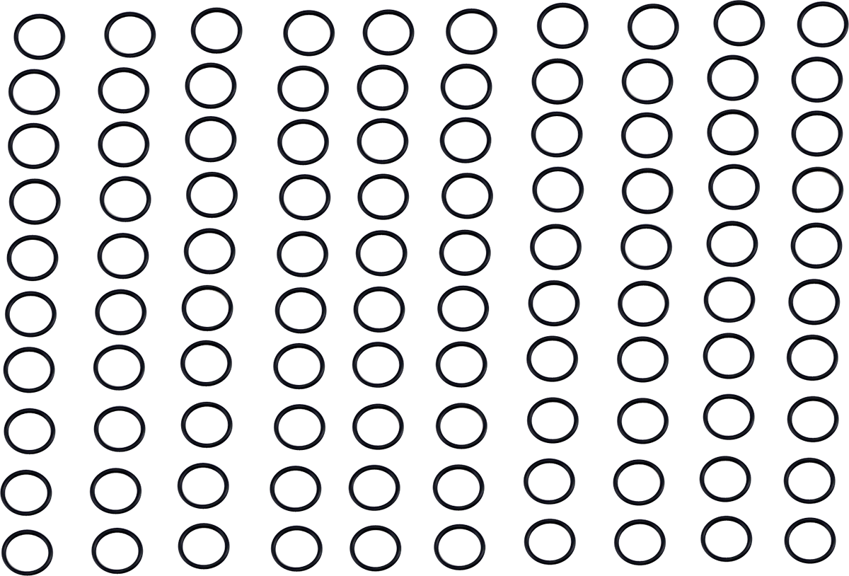 Drain Plug O-Ring 1971 - 2022