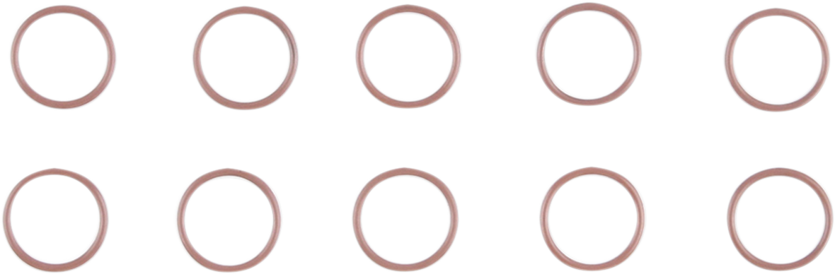 O-Ring - 10 Pack 2017 - 2024