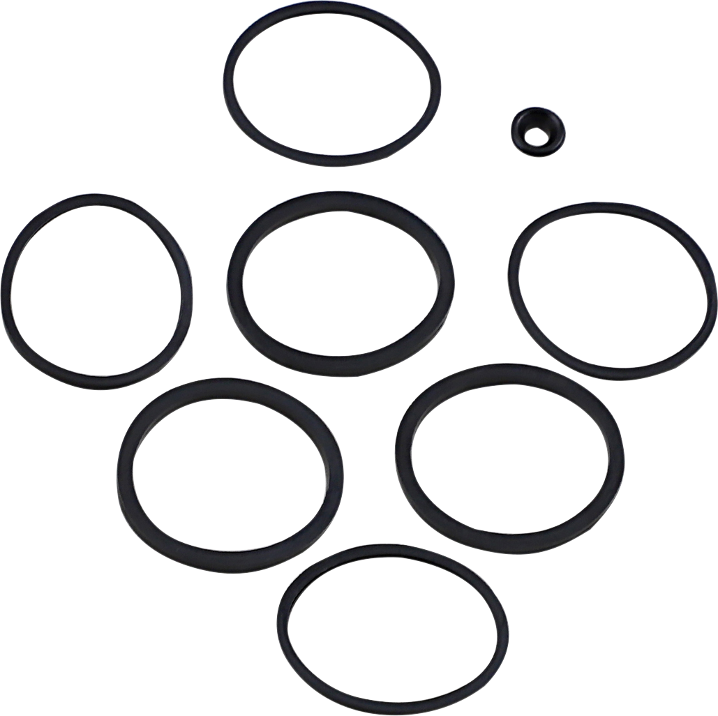 Caliper Seal Kit - FLT 2008 - 2022
