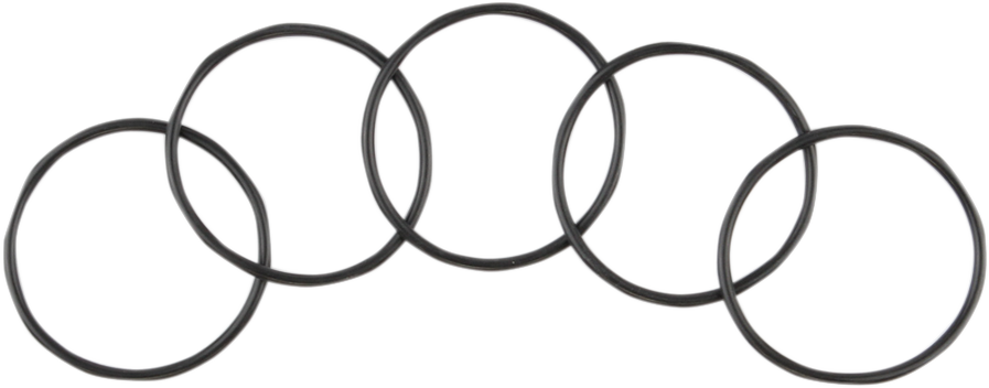 Starter to Primary Case O-Ring - 5 Pack 1999 - 2024