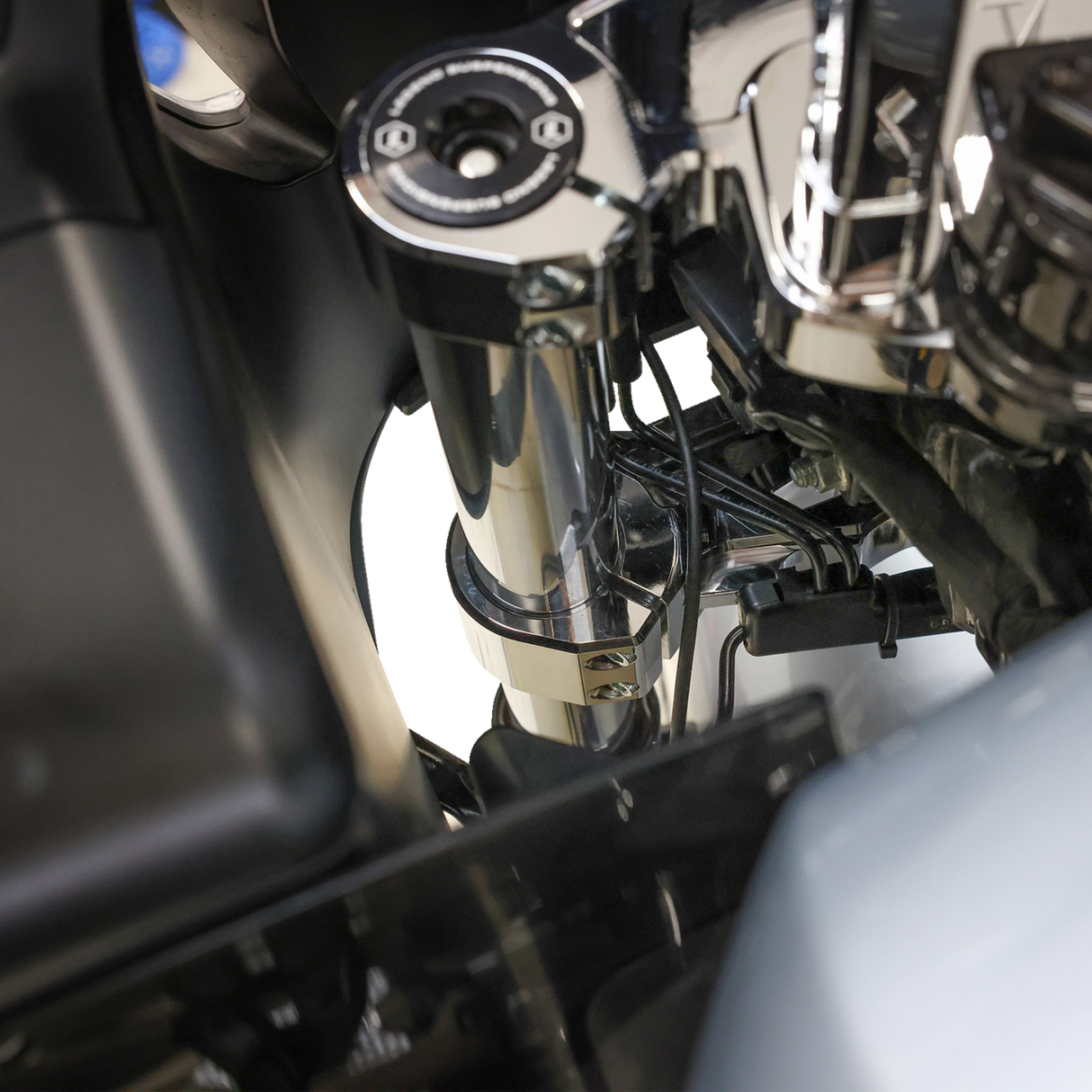 Bottom Tree - Chrome 2024 - 2024