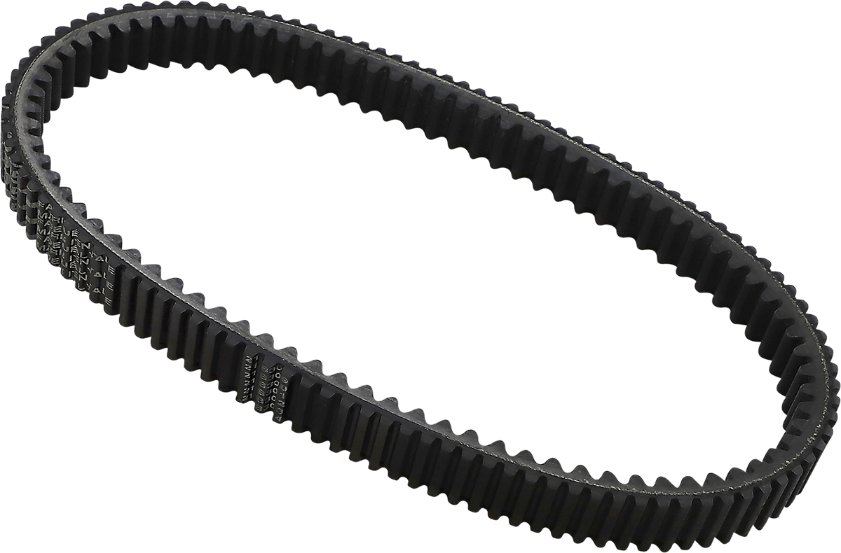 Drive Belt 2006 - 2023
