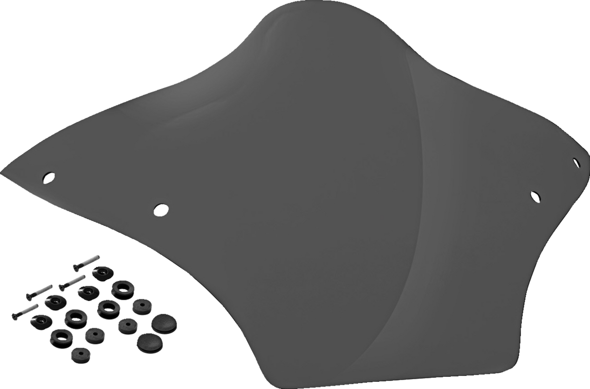 Windshield - BRL Race Bubble - Dark Smoke - FLTRX 2023 - 2025