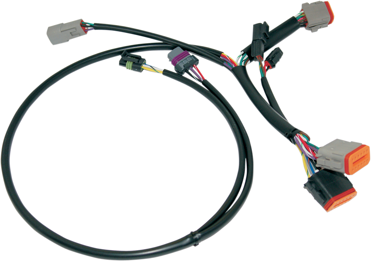 Ignition Wiring Harness - Harley Davidson 2001 - 2001