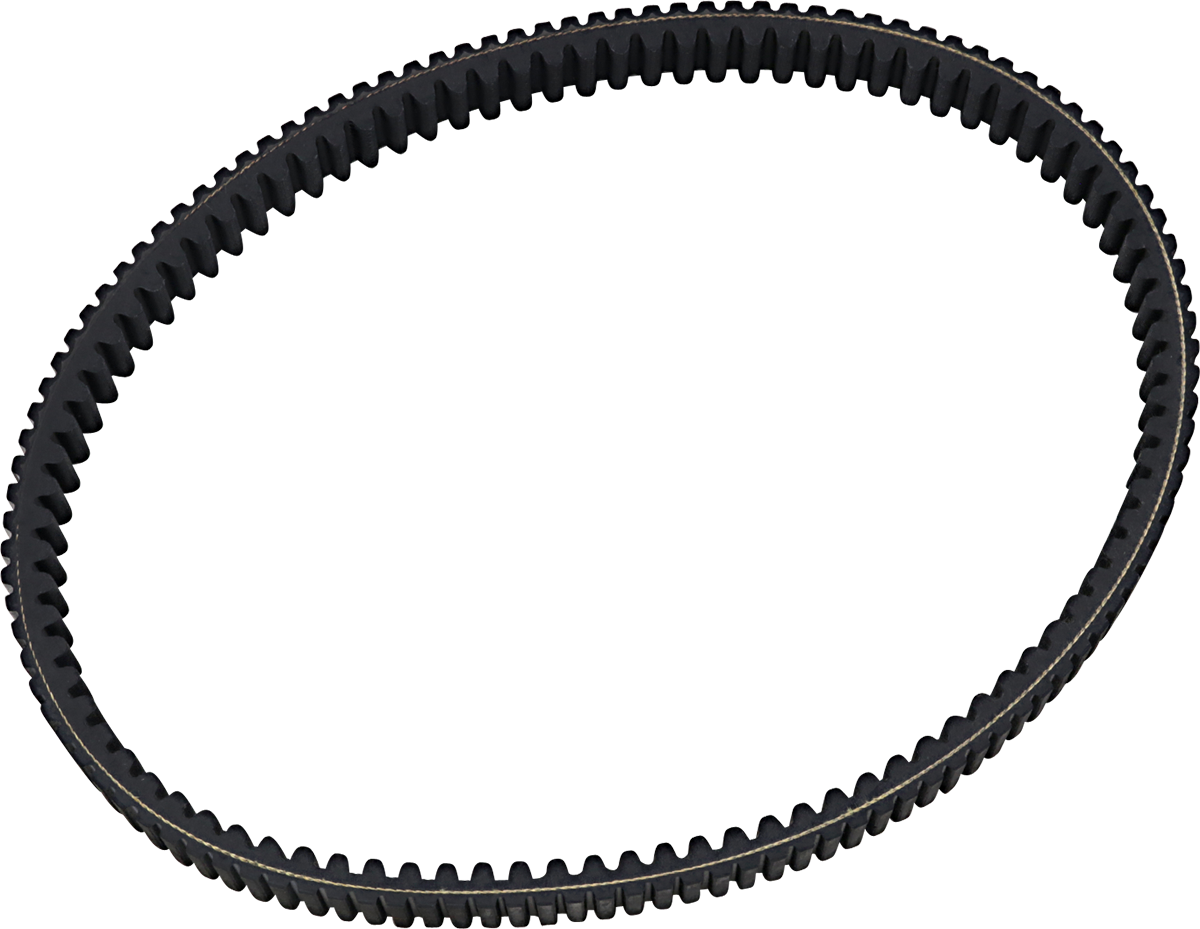 Drive Belt 2018 - 2022