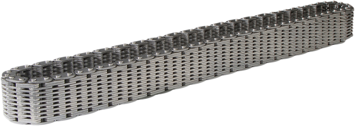 Transaxle Rear Drive Chain 2007 - 2022