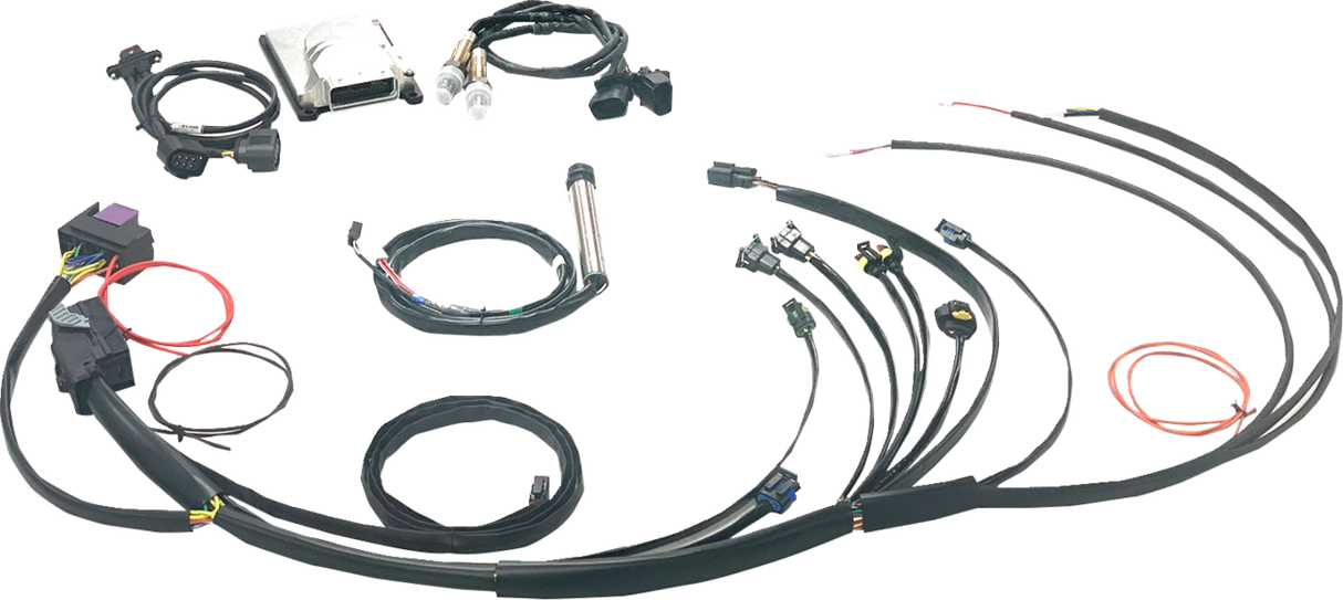 Complete Stand Alone EFI Engine Management System - Twin Cam 1999 - 2017