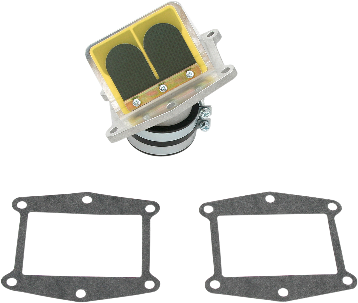 Rad Valve Reed Cage Assembly - Honda 1990 - 2001