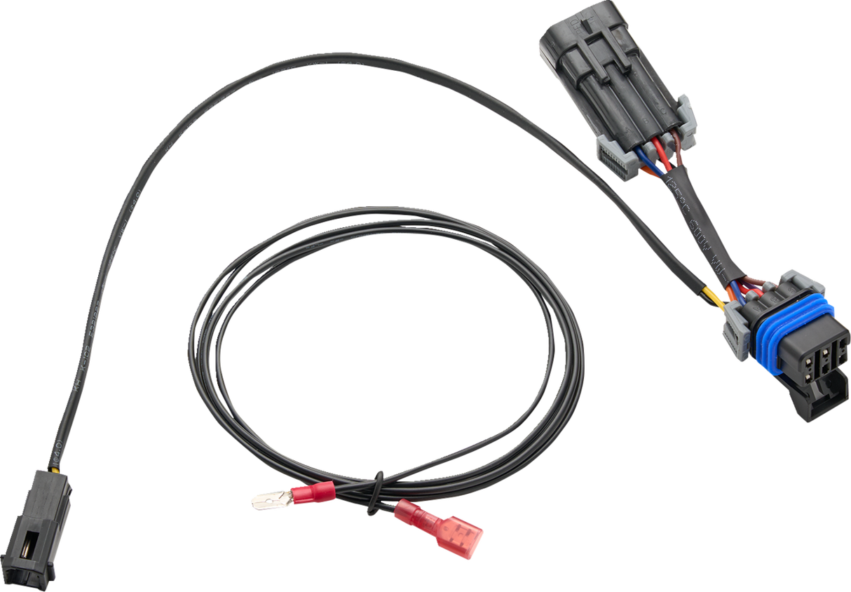 Harness - TAC-10 Light - Indian 2015 - 2024