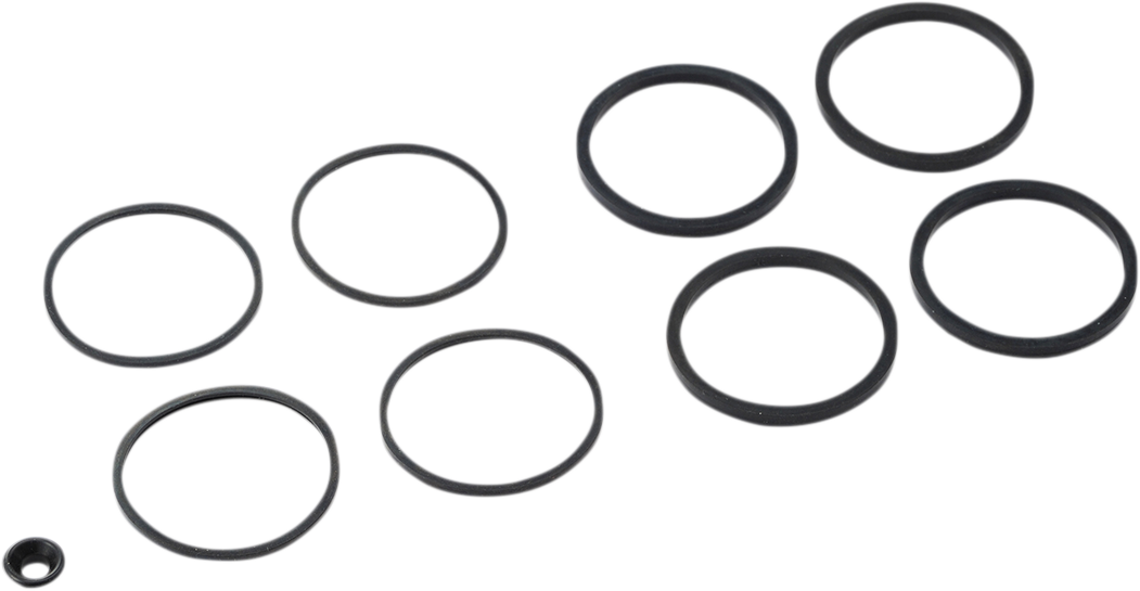 Caliper Seal Kit - FLT 2008 - 2022