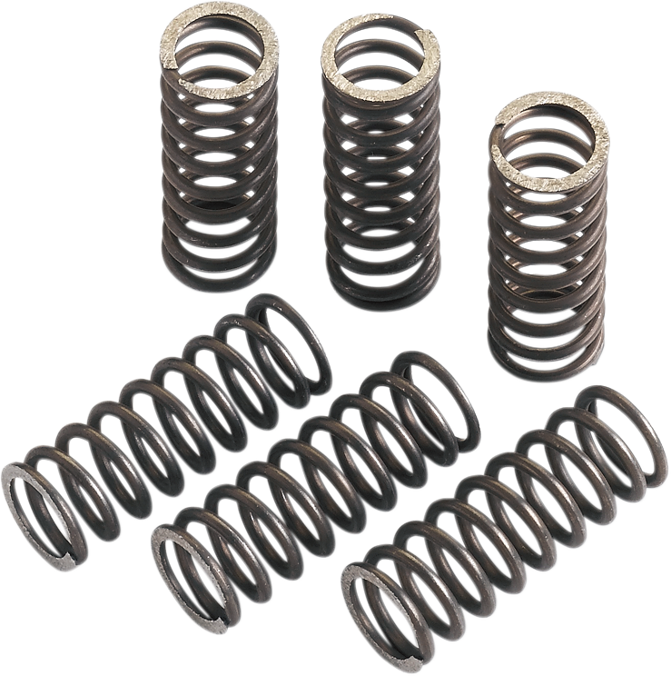 Clutch Springs 1989 - 2005