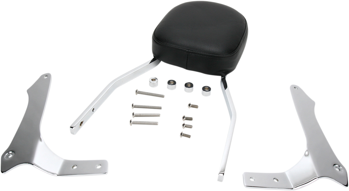 Sissy Bar - Standard - Raider 2008 - 2016