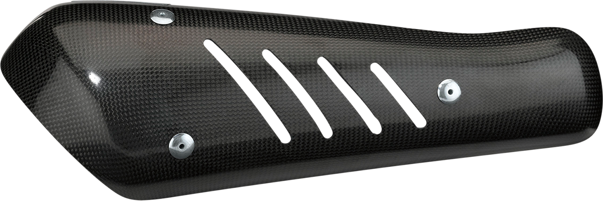 Carbon Muffler - Bag Guard 2020 - 2023