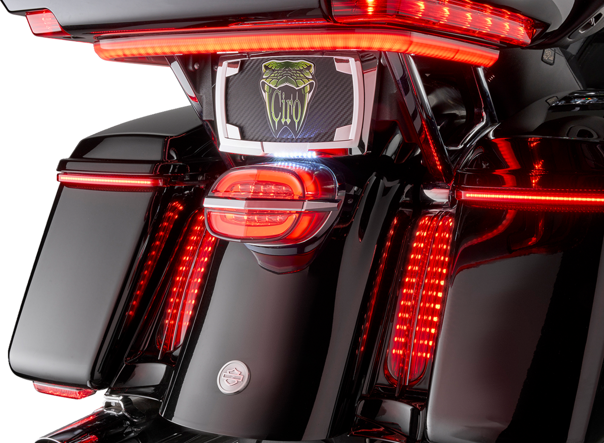 Taillight - Smoke Lens - with License Plate Light 1999 - 2023